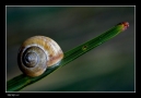 Prossima Foto: 7