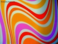 Foto Precedente: Curve Colorate