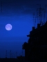 Prossima Foto: Blue Moon