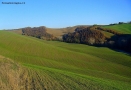 Foto Precedente: ondulazioni nelle colline senesi