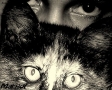 Prossima Foto: black and white
