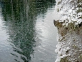 Prossima Foto: Elaborazioni