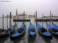 Riposo d'inverno a San Marco