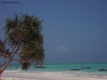 Foto Precedente: Zanzibar