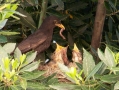 Prossima Foto: BED & BREAKFAST