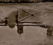 Prossima Foto: riflessi