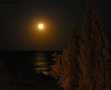 Foto Precedente: Notte di luna sul mare