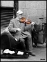 Foto Precedente: L'amico violino