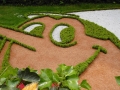 Foto Precedente: verde pinocchio