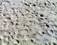 Prossima Foto: Sabbia
