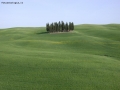 la solitudine