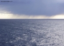 Foto Precedente: Piove sul mare