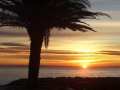Foto Precedente: L'alba
