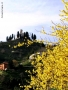 Prossima Foto: Primavera a Montevecchia