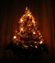 Foto Precedente: Le luci del Natale