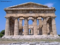 Foto Precedente: "tempio di Nettuno" _ Paestum