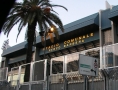 Prossima Foto: Stadio Renzo Barbera