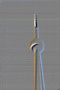 Foto Precedente: Toronto CN Tower - Idea di linee e curve