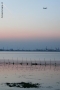 Prossima Foto: Laguna di venezia