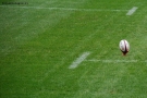 Prossima Foto: rugby
