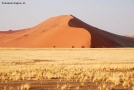 Foto Precedente: Namib Desert