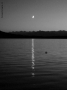 Prossima Foto: chiaro di luna
