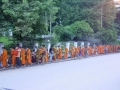 Prossima Foto: offerte ai monaci