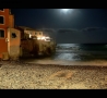Prossima Foto: Nature and Flabe #1