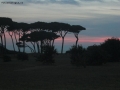 Prossima Foto: tramonto con pineta
