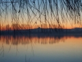 Foto Precedente: Il Monviso al tramonto