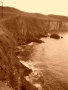 Foto Precedente: ripe in north ireland