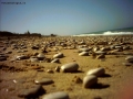 Foto Precedente: sabbia e ciotoli
