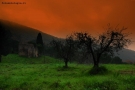 Foto Precedente: Toscana rurale