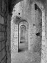 archi