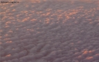 Prossima Foto: cirrocumulus stratiformis undulatus