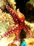 Prossima Foto: O come son bella...
