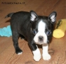 Prossima Foto: what a boy!!