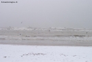 Foto Precedente: The snow on the beach