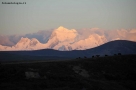 Prossima Foto: Mucche al pascolo sullo sfondo la Cordillera Blanc