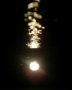 Prossima Foto: Luce e acqua