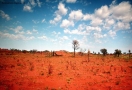 Foto Precedente: Simpson Desert,Australia
