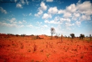 Prossima Foto: Simpson Desert,Australia