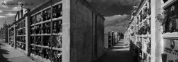 Prossima Foto: Sicilia - Cimitero