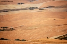 Foto Precedente: campagna toscana