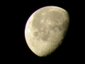 Prossima Foto: ...gobba a ponente Luna crescente.