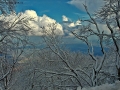 Foto Precedente: ultima neve