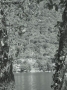 Foto Precedente: cornice naturale
