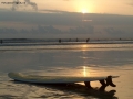 Foto Precedente: Tavola surf