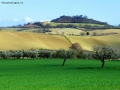 Prossima Foto: colline 2