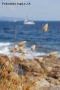 accarezzando il mare